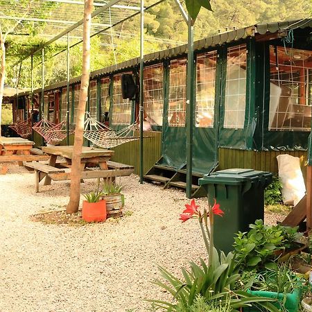 Olympos Zeytin Bed & Breakfast Luaran gambar