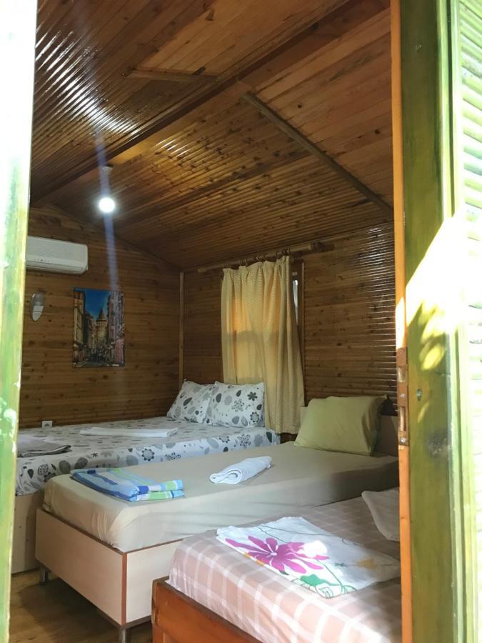Olympos Zeytin Bed & Breakfast Luaran gambar