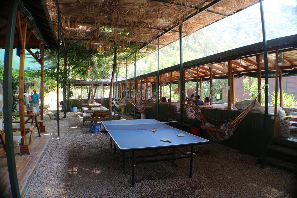 Olympos Zeytin Bed & Breakfast Luaran gambar
