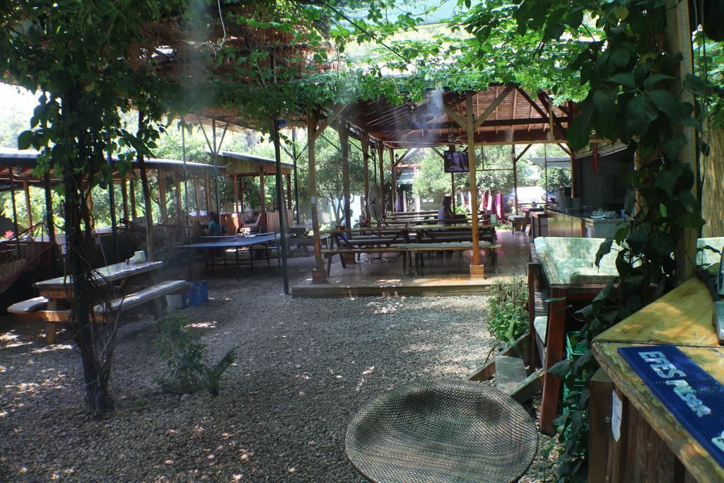 Olympos Zeytin Bed & Breakfast Luaran gambar