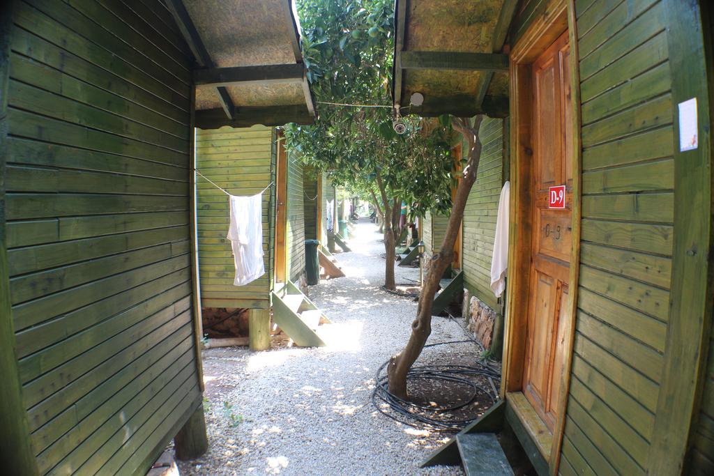 Olympos Zeytin Bed & Breakfast Luaran gambar