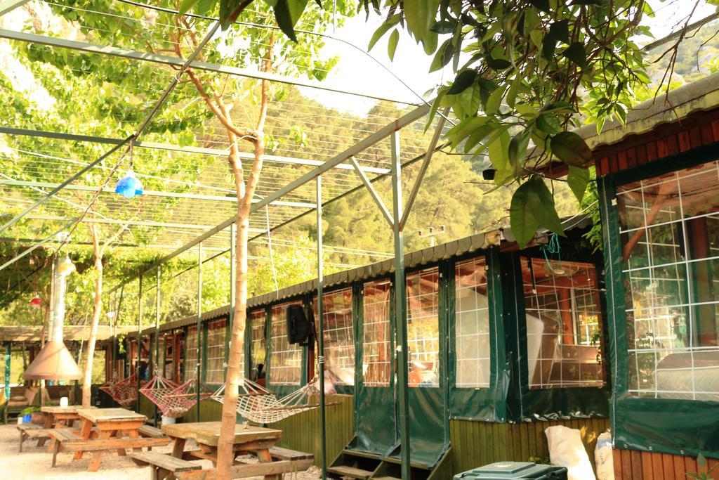 Olympos Zeytin Bed & Breakfast Luaran gambar