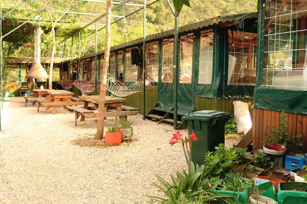 Olympos Zeytin Bed & Breakfast Luaran gambar