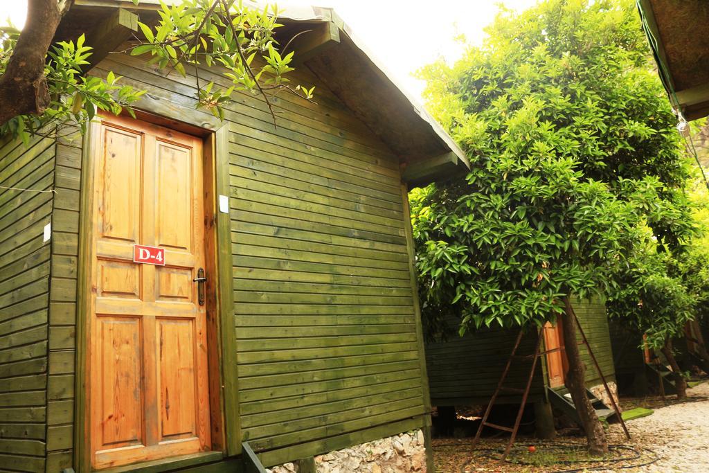 Olympos Zeytin Bed & Breakfast Luaran gambar