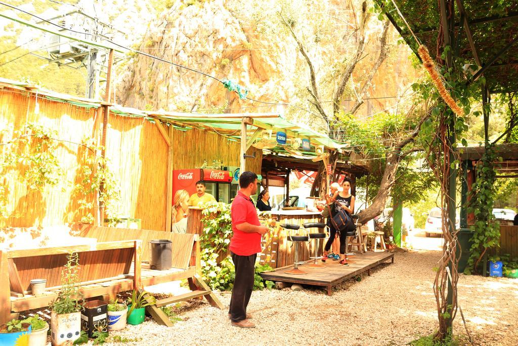 Olympos Zeytin Bed & Breakfast Luaran gambar