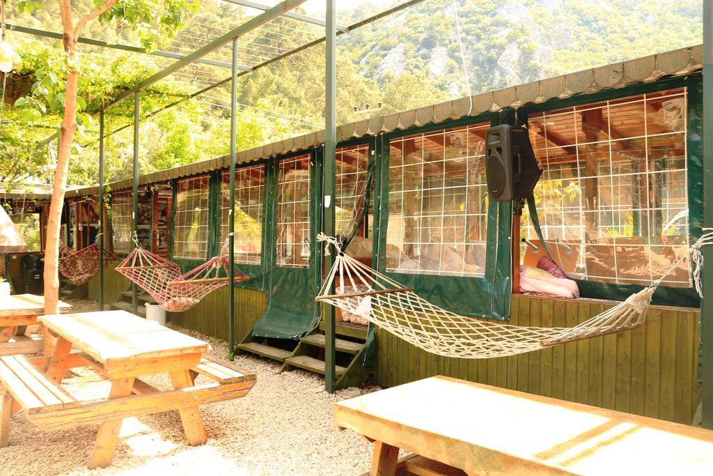 Olympos Zeytin Bed & Breakfast Luaran gambar