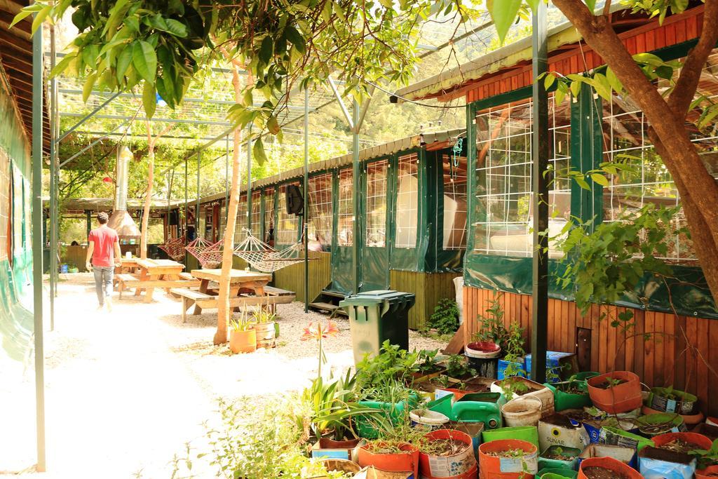 Olympos Zeytin Bed & Breakfast Luaran gambar