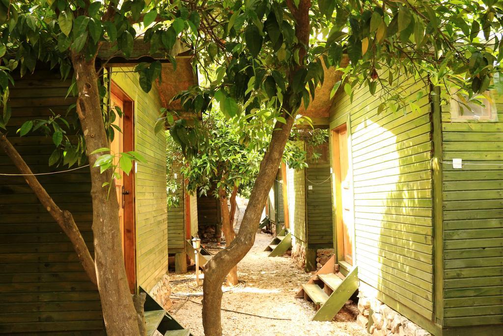Olympos Zeytin Bed & Breakfast Luaran gambar